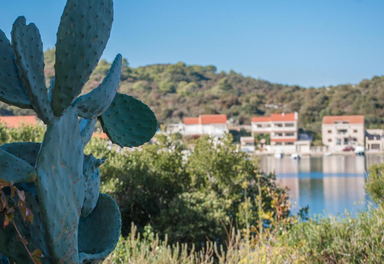 Apartmani Jagoda Lastovo Dış mekan fotoğraf